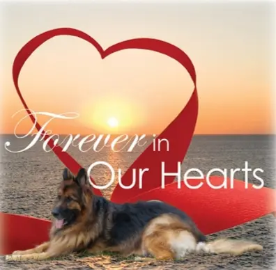 Condolence image of Ewa und Krzysztof mit Jackuś❤ tief im Herzen ❤