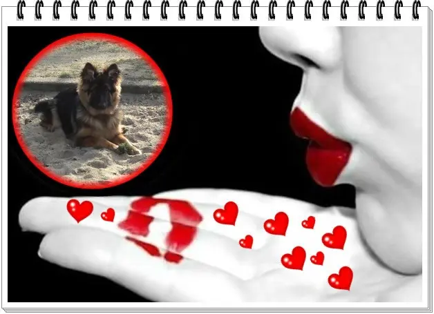 Condolence image of Kocham❤️❤️❤️❤️❤️❤️❤️❤️❤️❤️❤️❤️❤️❤️❤️❤️Cię❤️❤️❤️
