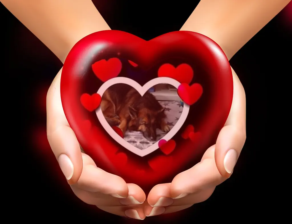 Condolence image of Dobrej Nocki❤️❤️❤️❤️❤️❤️mój Ukochany❤️❤️❤️❤️❤️❤️Misieńku❤️❤️❤️