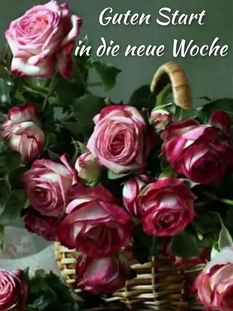 Condolence image of Gaby mit Snowy im Herzen