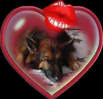 Condolence image of Dobrej Nocki❤️❤️❤️❤️❤️❤️mój Ukochany❤️❤️❤️❤️❤️❤️Misieńku❤️❤️❤️