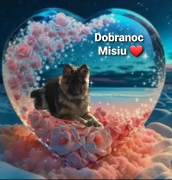Condolence image of ⭐Dobrej nocy Misiu❤⭐