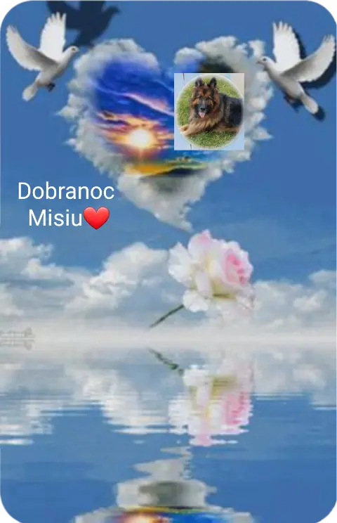Condolence image of ⭐Dobranoc Misiu❤⭐