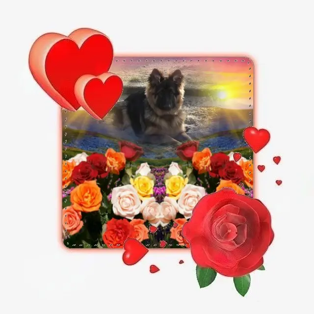 Condolence image of Dzień Dobry❤️❤️❤️mój Ukochany❤️❤️❤️❤️❤️❤️❤️Misieńku❤️❤️❤️