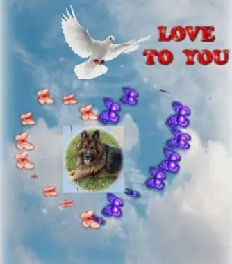 Condolence image of Ewa und Krzysztof mit Jacki tief im Herzen ❤
