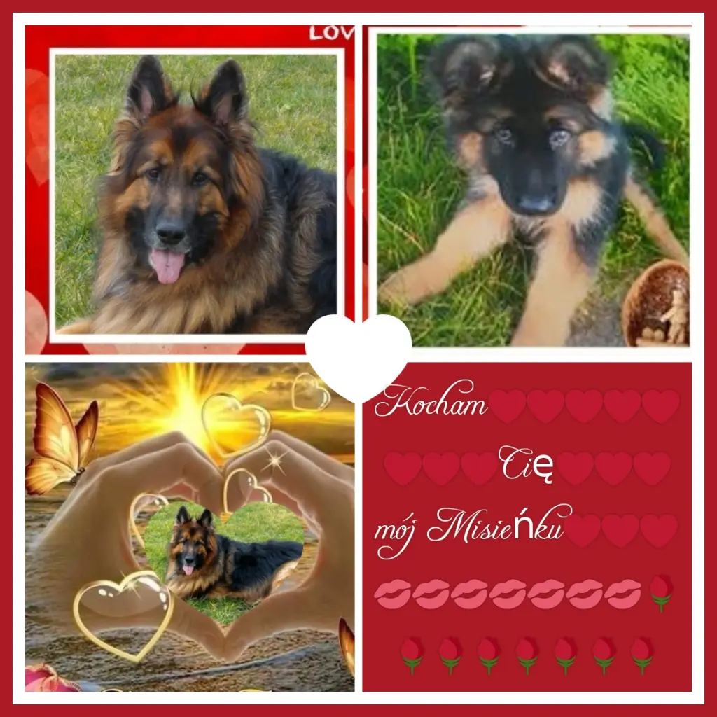 Condolence image of Dzień Dobry❤️❤️❤️mój Ukochany❤️❤️❤️❤️❤️❤️❤️Misieńku❤️❤️❤️