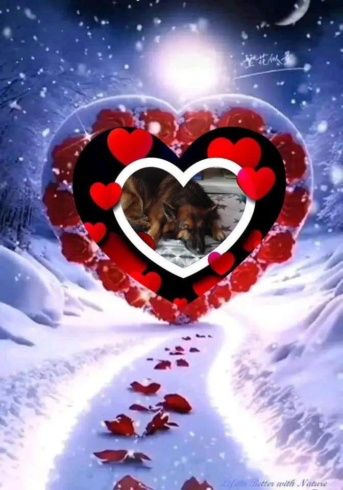 Condolence image of Dobrej Nocki❤️❤️❤️❤️❤️❤️mój Ukochany❤️❤️❤️❤️❤️❤️Misieńku❤️❤️❤️