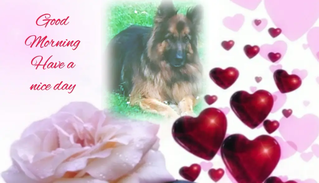 Condolence image of Ewa und Krzysztof mit Jacki tief im Herzen ❤