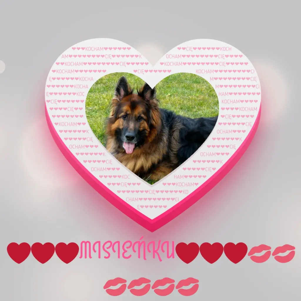 Condolence image of 58 Miesięcy.......BEZ CIEBIE❤️❤️❤️MISIEŃKU❤️❤️❤️......
