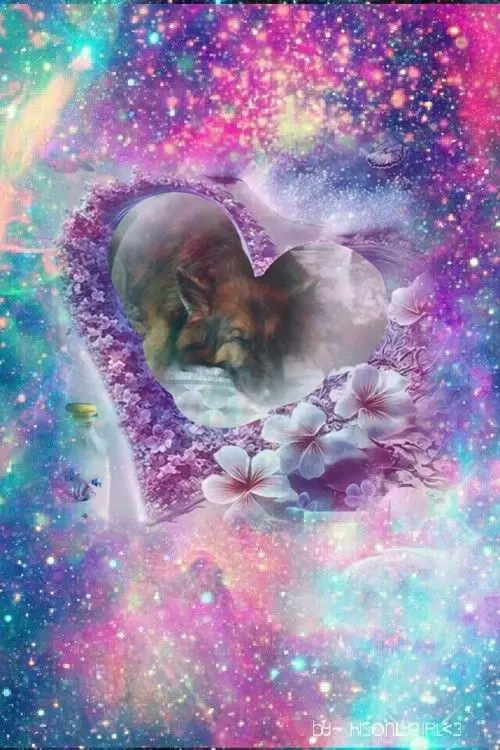 Condolence image of Dobrej Nocki❤️❤️❤️❤️❤️❤️mój Ukochany❤️❤️❤️❤️❤️❤️Misieńku❤️❤️❤️