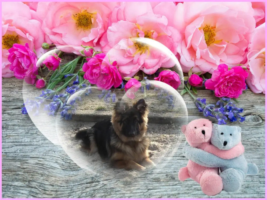 Condolence image of Dzień Dobry❤️❤️❤️mój Ukochany❤️❤️❤️❤️❤️❤️❤️Misieńku❤️❤️❤️