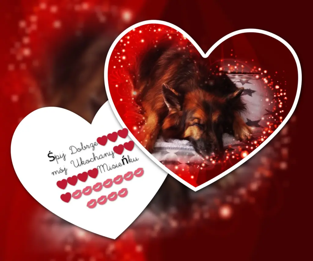 Condolence image of Dobrej Nocki❤️❤️❤️❤️❤️❤️mój Ukochany❤️❤️❤️❤️❤️❤️Misieńku❤️❤️❤️