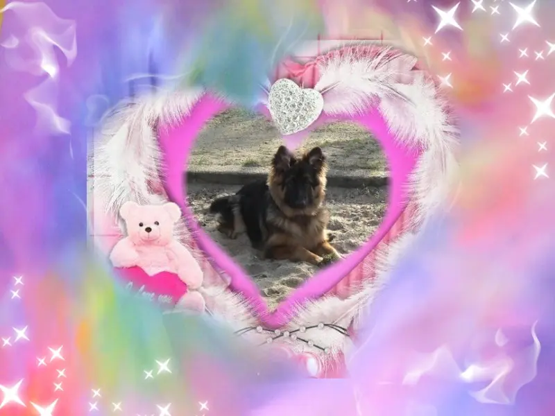Condolence image of Dzień Dobry❤️❤️❤️mój Ukochany❤️❤️❤️❤️❤️❤️❤️Misieńku❤️❤️❤️