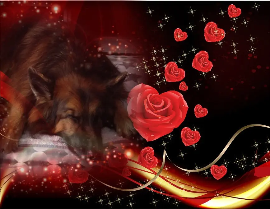 Condolence image of Dobrej Nocki❤️❤️❤️❤️❤️❤️mój Ukochany❤️❤️❤️❤️❤️❤️Misieńku❤️❤️❤️