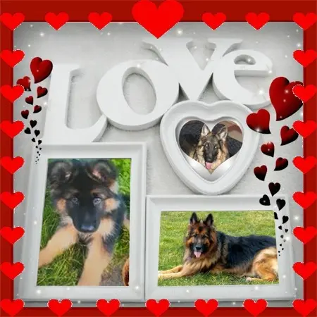 Condolence image of Dzień Dobry❤️❤️❤️mój Ukochany❤️❤️❤️❤️❤️❤️❤️Misieńku❤️❤️❤️