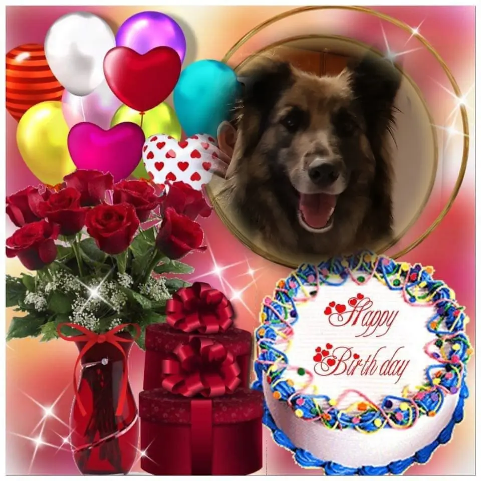 Condolence image of Kocham❤️❤️❤️❤️❤️❤️❤️❤️❤️❤️❤️❤️❤️❤️❤️❤️Cię❤️❤️❤️