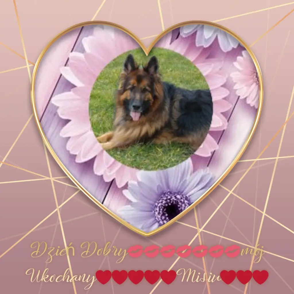 Condolence image of Dzień Dobry❤️❤️❤️mój Ukochany❤️❤️❤️❤️❤️❤️❤️Misieńku❤️❤️❤️