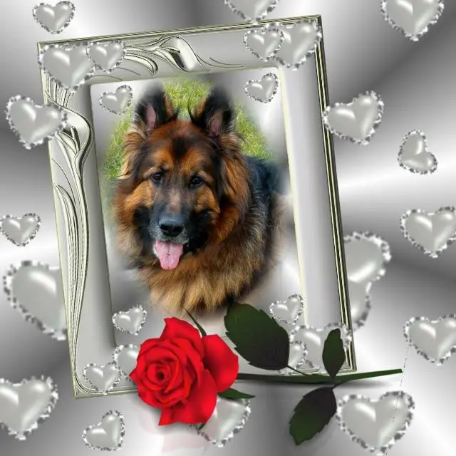 Condolence image of Dzień Dobry❤️❤️❤️mój Ukochany❤️❤️❤️❤️❤️❤️❤️Misieńku❤️❤️❤️