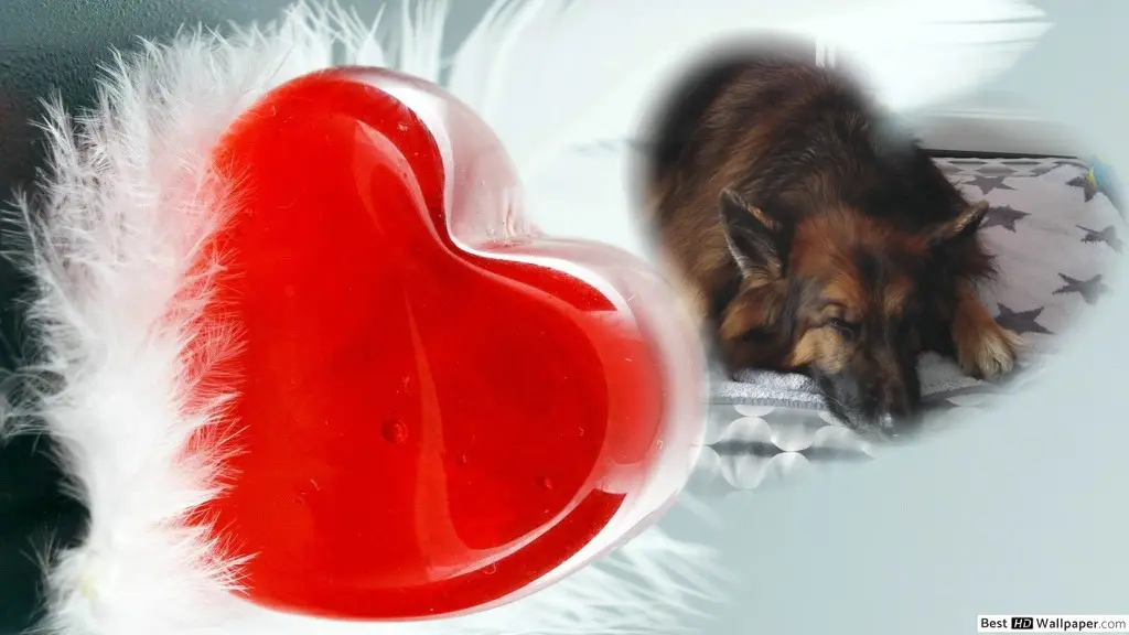 Condolence image of Dobrej Nocki❤️❤️❤️❤️❤️❤️mój Ukochany❤️❤️❤️❤️❤️❤️Misieńku❤️❤️❤️