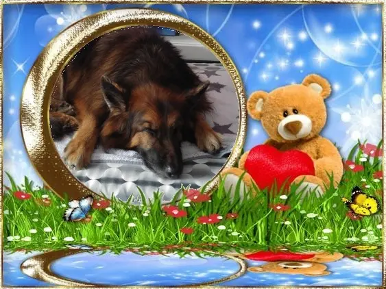 Condolence image of Dobrej Nocki❤️❤️❤️❤️❤️❤️mój Ukochany❤️❤️❤️❤️❤️❤️Misieńku❤️❤️❤️
