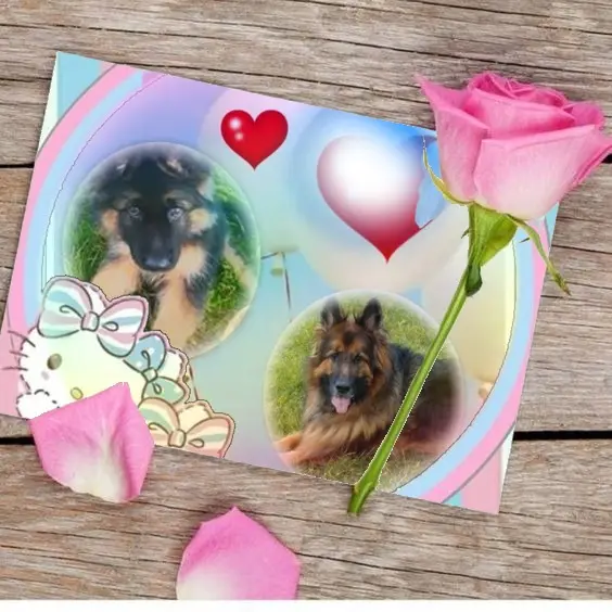 Condolence image of Dzień Dobry❤️❤️❤️mój Ukochany❤️❤️❤️❤️❤️❤️❤️Misieńku❤️❤️❤️