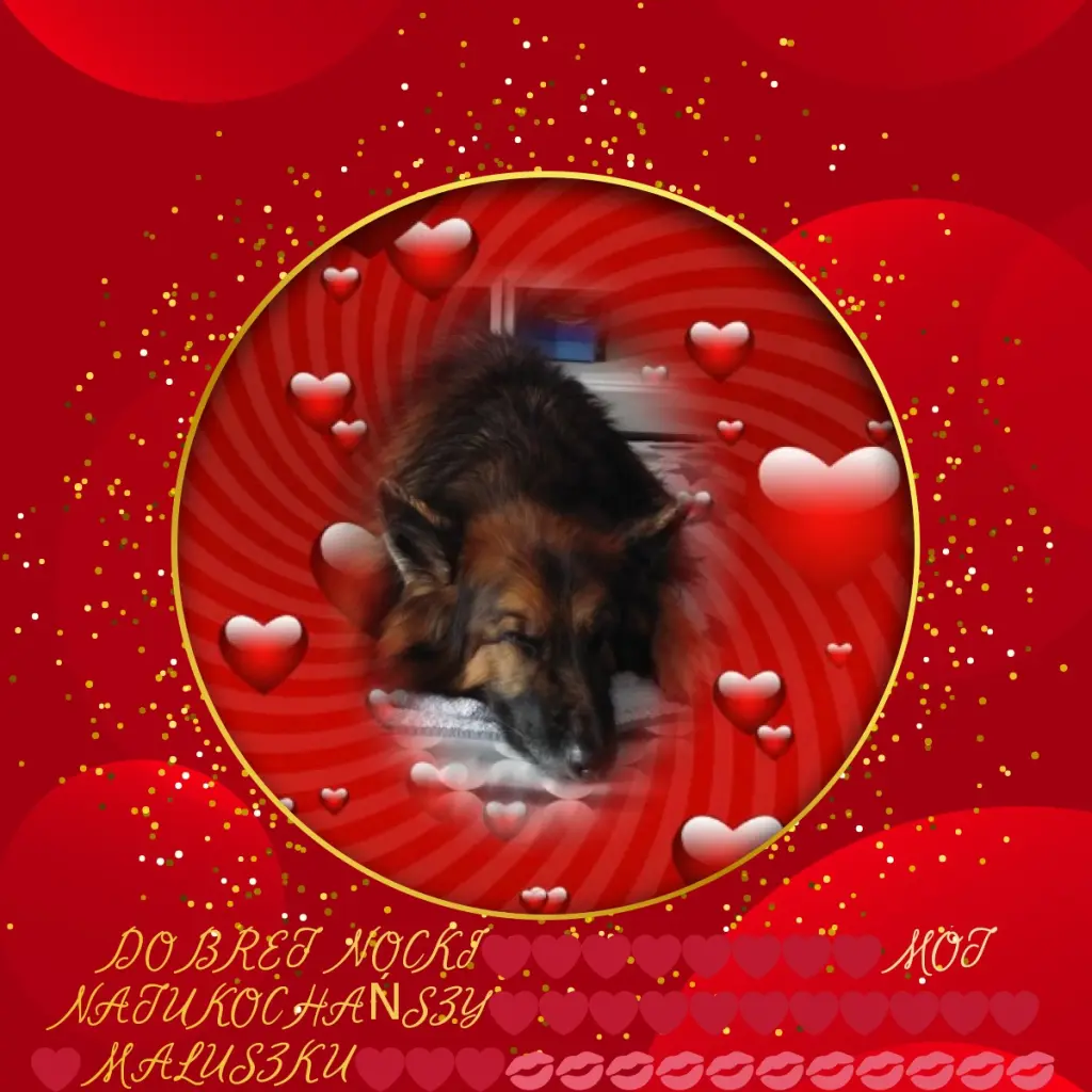 Condolence image of Dobrej Nocki❤️❤️❤️❤️❤️❤️mój Ukochany❤️❤️❤️❤️❤️❤️Misieńku❤️❤️❤️