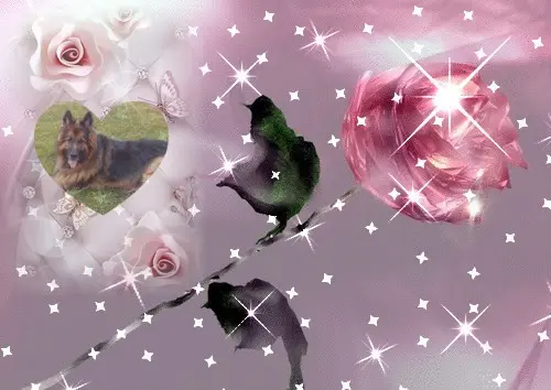 Condolence image of Dzień Dobry❤️❤️❤️mój Ukochany❤️❤️❤️❤️❤️❤️❤️Misieńku❤️❤️❤️