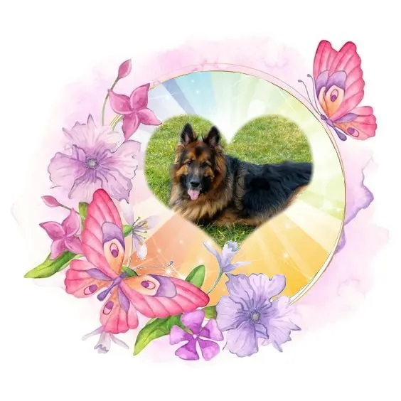 Condolence image of Dzień Dobry❤️❤️❤️mój Ukochany❤️❤️❤️❤️❤️❤️❤️Misieńku❤️❤️❤️