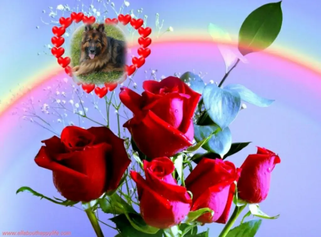 Condolence image of Ewa und Krzysztof mit Jacki tief im Herzen❤