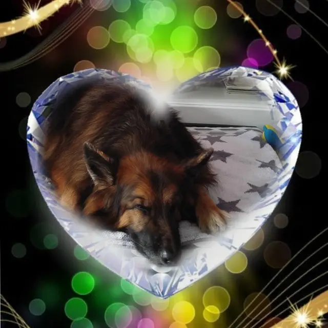 Condolence image of Dobrej Nocki❤️❤️❤️❤️❤️❤️mój Ukochany❤️❤️❤️❤️❤️❤️Misieńku❤️❤️❤️