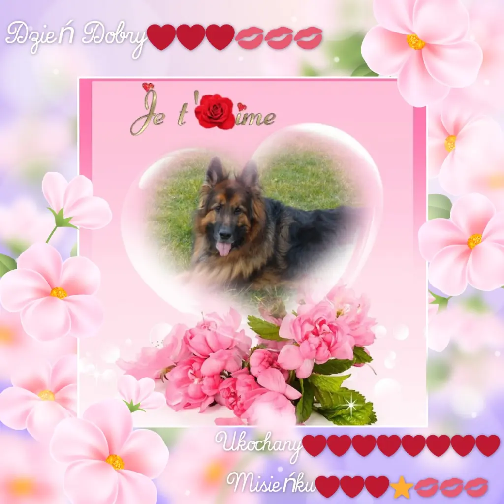 Condolence image of Dzień Dobry❤️❤️❤️mój Ukochany❤️❤️❤️❤️❤️❤️❤️Misieńku❤️❤️❤️