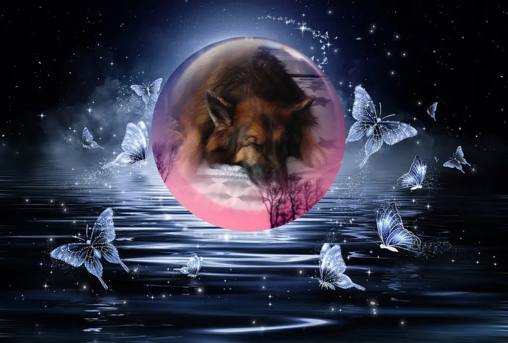 Condolence image of Dobrej Nocki❤️❤️❤️❤️❤️❤️mój Ukochany❤️❤️❤️❤️❤️❤️Misieńku❤️❤️❤️