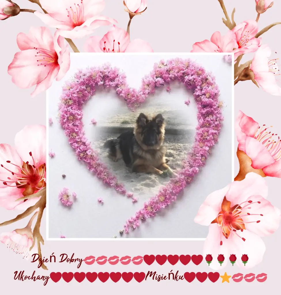 Condolence image of Dzień Dobry❤️❤️❤️mój Ukochany❤️❤️❤️❤️❤️❤️❤️Misieńku❤️❤️❤️