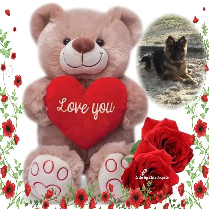 Condolence image of Dzień Dobry❤️❤️❤️mój Ukochany❤️❤️❤️❤️❤️❤️❤️Misieńku❤️❤️❤️