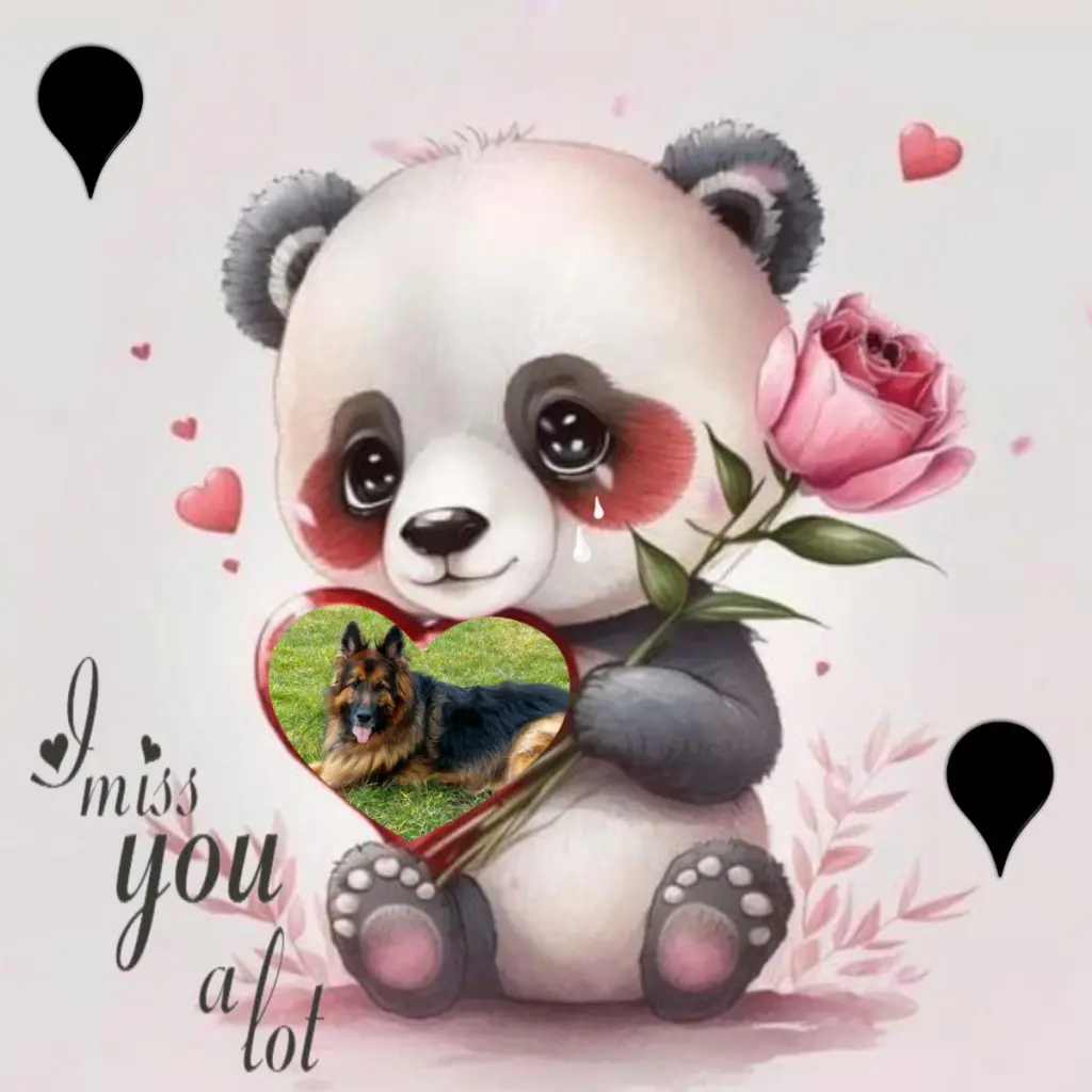 Condolence image of Dzień Dobry❤️❤️❤️mój Ukochany❤️❤️❤️❤️❤️❤️❤️Misieńku❤️❤️❤️