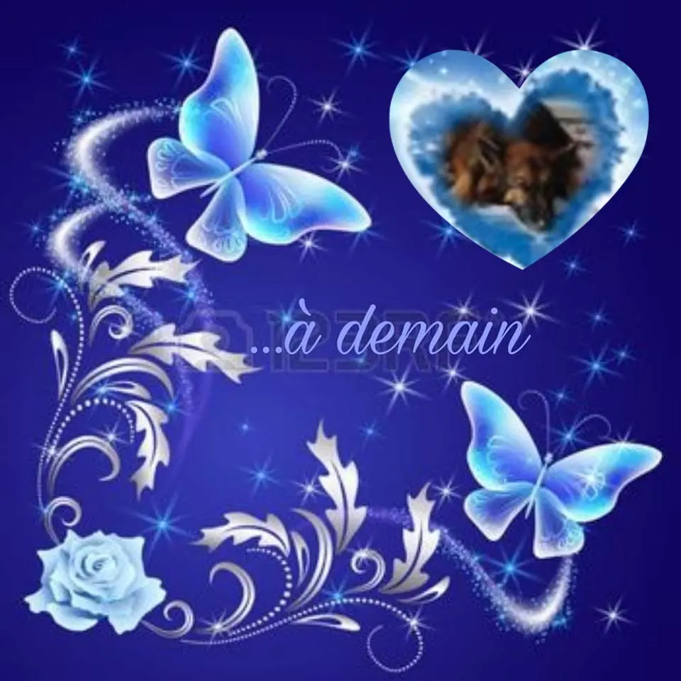 Condolence image of Dobrej Nocki❤️❤️❤️❤️❤️❤️mój Ukochany❤️❤️❤️❤️❤️❤️Misieńku❤️❤️❤️