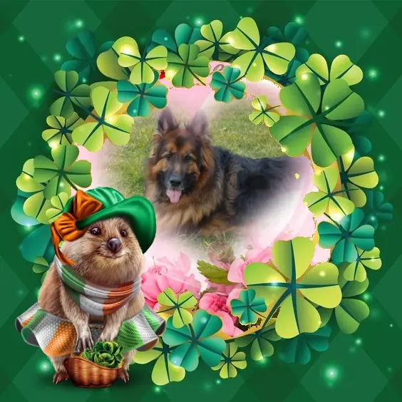 Condolence image of Dzień Dobry❤️❤️❤️mój Ukochany❤️❤️❤️❤️❤️❤️❤️Misieńku❤️❤️❤️