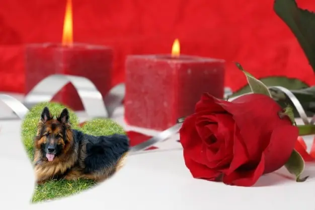 Condolence image of Dzień Dobry❤️❤️❤️mój Ukochany❤️❤️❤️❤️❤️❤️❤️Misieńku❤️❤️❤️