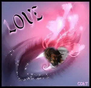 Condolence image of Dobrej Nocki❤️❤️❤️❤️❤️❤️mój Ukochany❤️❤️❤️❤️❤️❤️Misieńku❤️❤️❤️