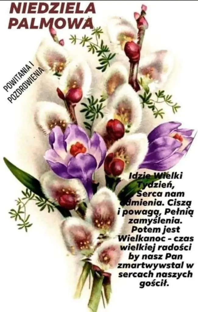 Condolence image of Dla Ciebie Klaudio❤