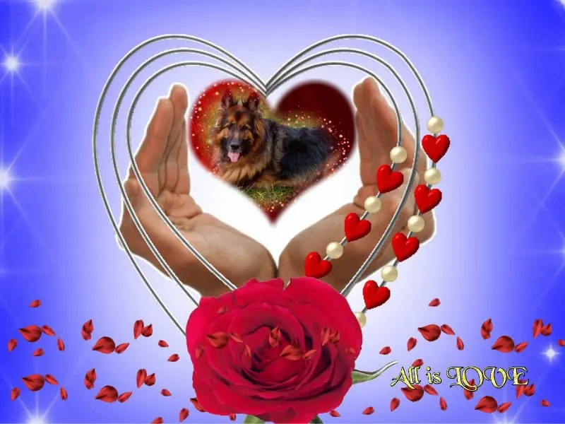 Condolence image of Dzień Dobry❤️❤️❤️mój Ukochany❤️❤️❤️❤️❤️❤️❤️Misieńku❤️❤️❤️