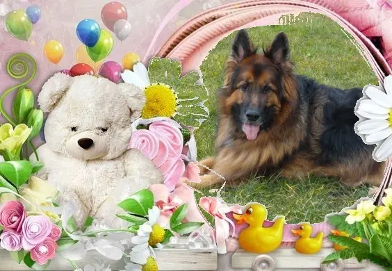 Condolence image of Dzień Dobry❤️❤️❤️mój Ukochany❤️❤️❤️❤️❤️❤️❤️Misieńku❤️❤️❤️