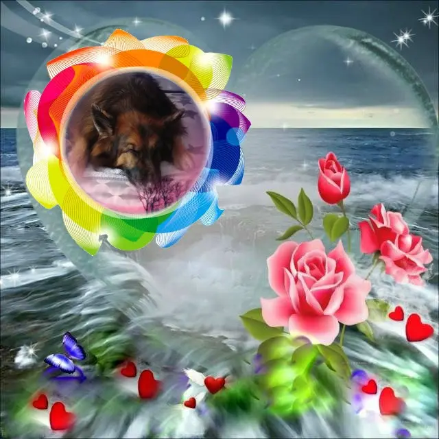 Condolence image of Dobrej Nocki❤️❤️❤️❤️❤️❤️mój Ukochany❤️❤️❤️❤️❤️❤️Misieńku❤️❤️❤️