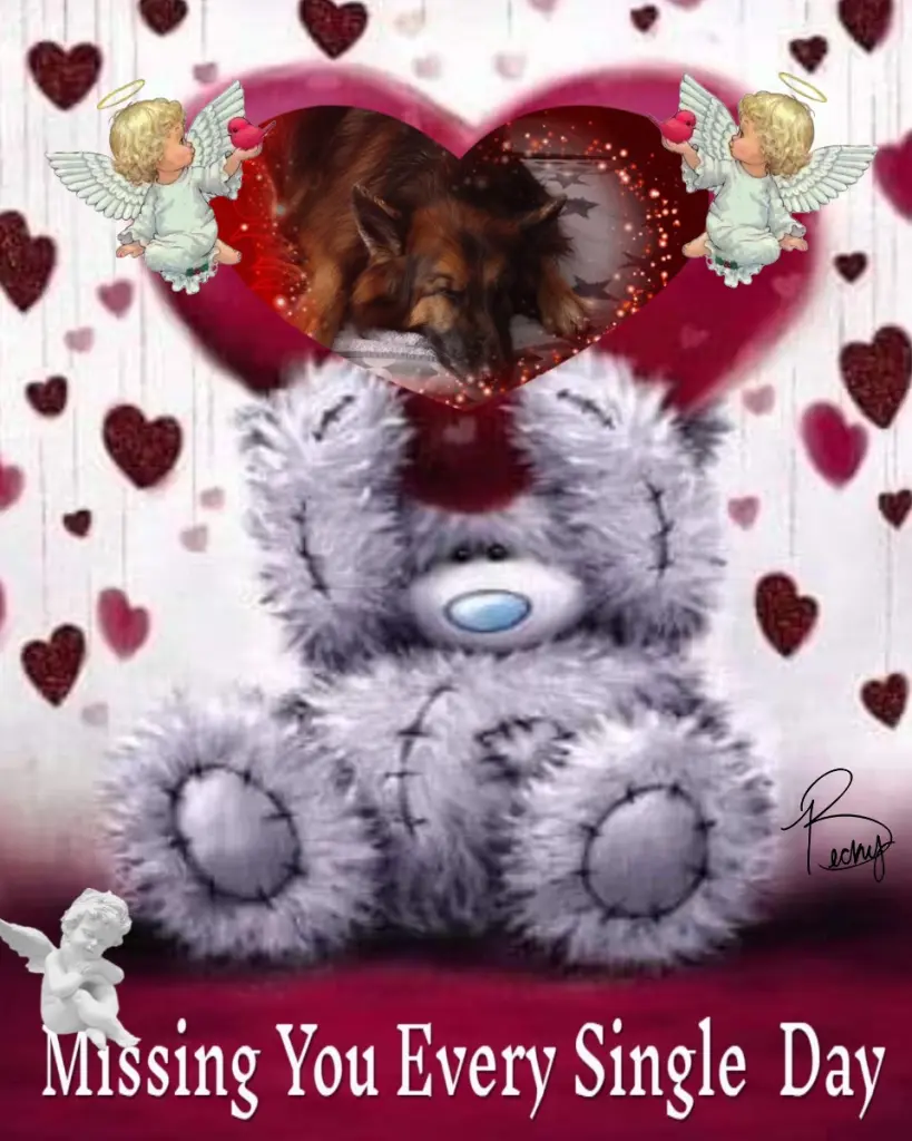 Condolence image of Dobrej Nocki❤️❤️❤️❤️❤️❤️mój Ukochany❤️❤️❤️❤️❤️❤️Misieńku❤️❤️❤️