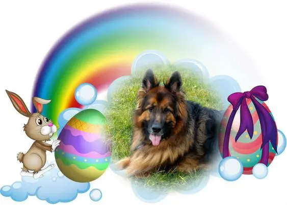Condolence image of Dzień Dobry❤️❤️❤️mój Ukochany❤️❤️❤️❤️❤️❤️❤️Misieńku❤️❤️❤️