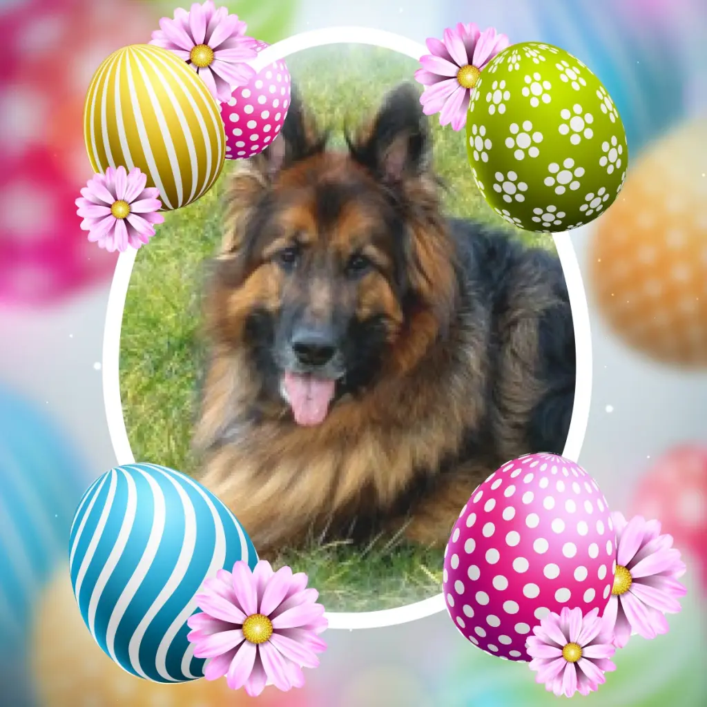 Condolence image of Niedziela❤️Wielkanocna❤️❤️❤️❤️