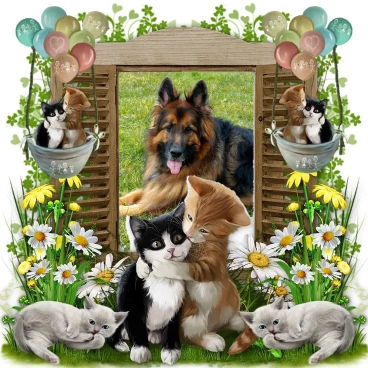 Condolence image of Dzień Dobry❤️❤️❤️mój Ukochany❤️❤️❤️❤️❤️❤️❤️Misieńku❤️❤️❤️