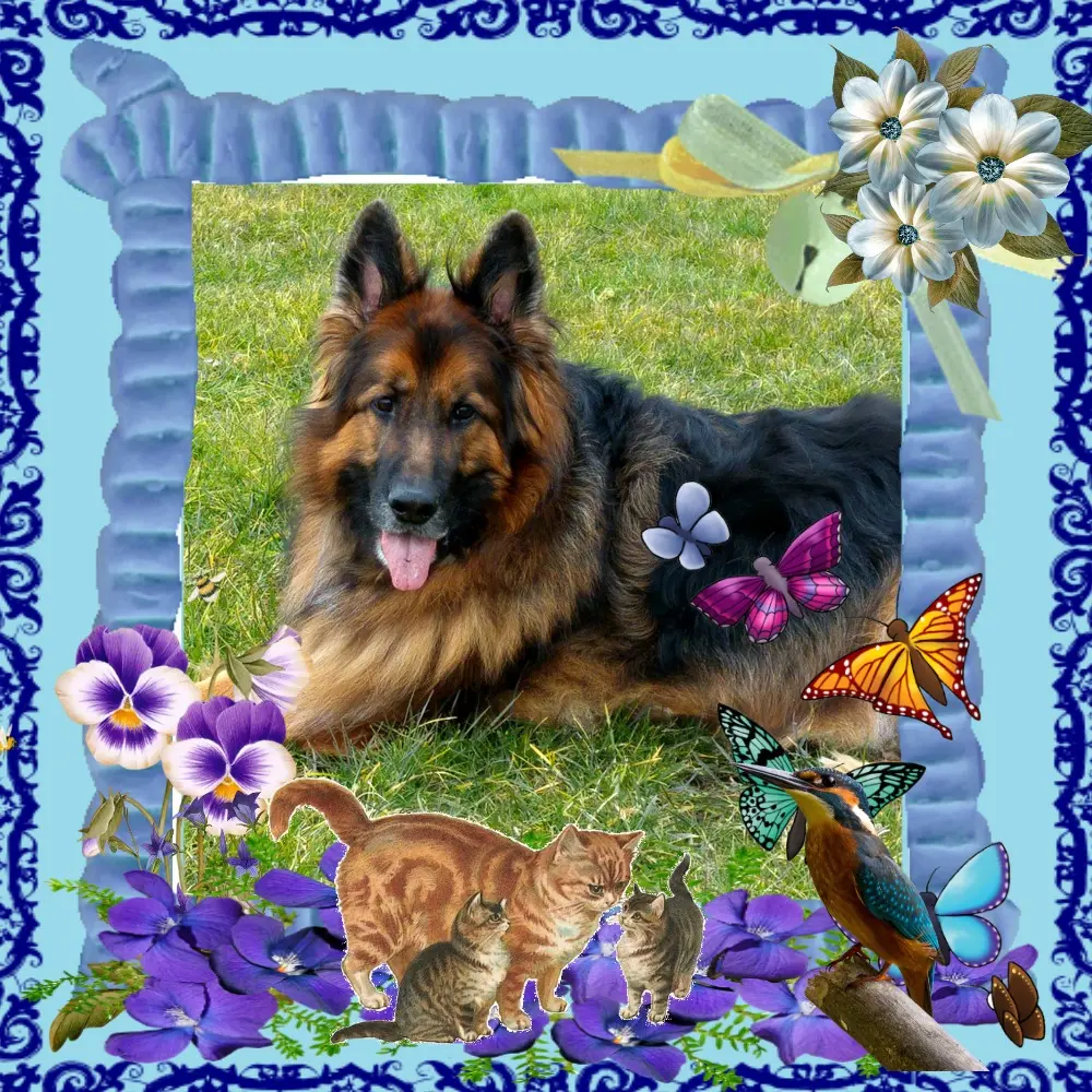 Condolence image of Dzień Dobry❤️❤️❤️mój Ukochany❤️❤️❤️❤️❤️❤️❤️Misieńku❤️❤️❤️