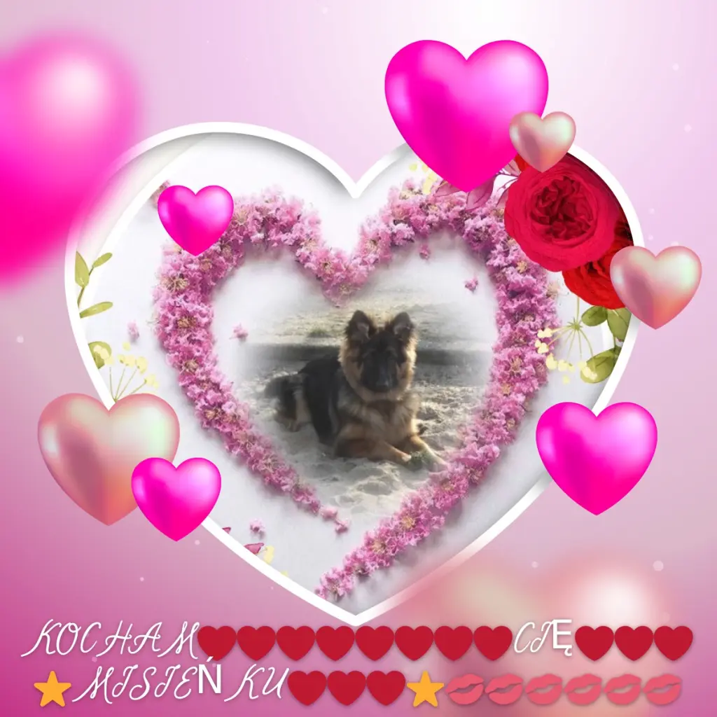 Condolence image of Dzień Dobry❤️❤️❤️mój Ukochany❤️❤️❤️❤️❤️❤️❤️Misieńku❤️❤️❤️