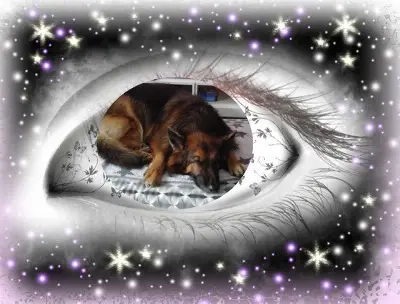 Condolence image of Dobrej Nocki❤️❤️❤️❤️❤️❤️mój Ukochany❤️❤️❤️❤️❤️❤️Misieńku❤️❤️❤️